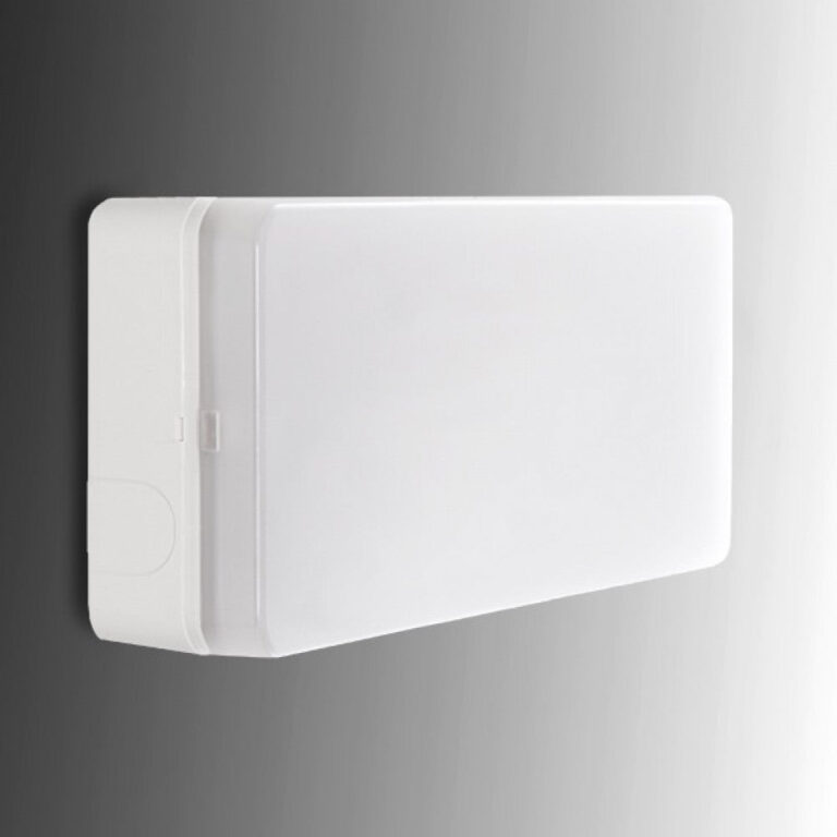 Alumbrado Emergencia LED Esera 150Lm 1 Hora IP44