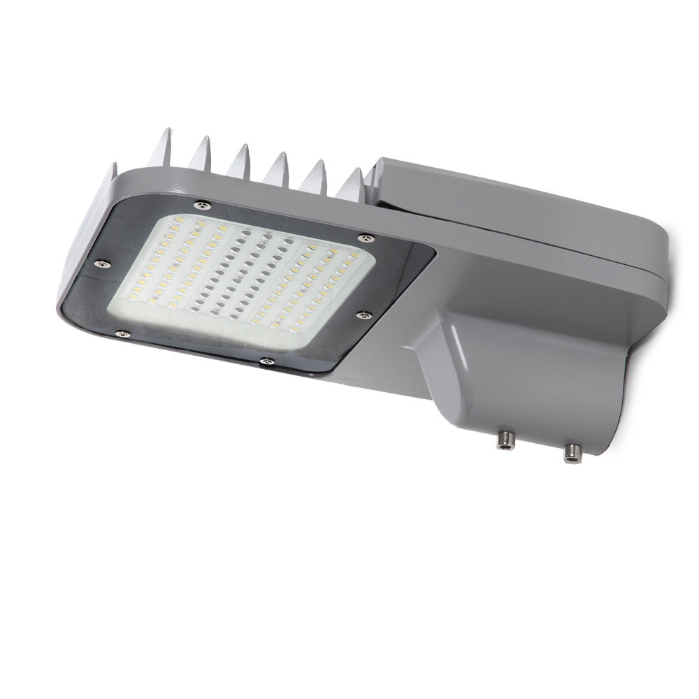 Farola LED 60W 8.400Lm 6000ºK IP66 PRO SMD3030 Driver Meanwell HLG 100.000H