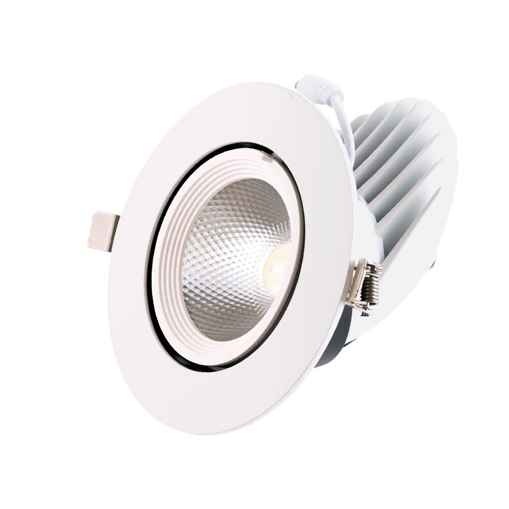 Foco Downlight LED 24W 3600Lm 4000ºK Circular Orientable 40.000H
