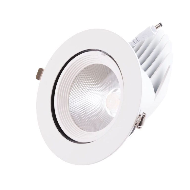 Foco Downlight LED 35W 5250Lm 4000ºK Circular Orientable 40.000H