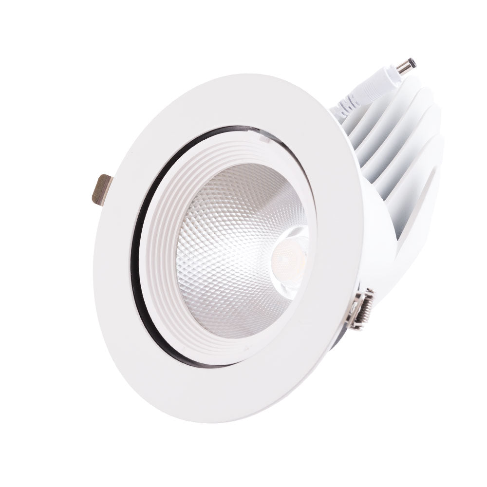 Foco Downlight LED 35W 5250Lm 4000ºK Circular Orientable 40.000H