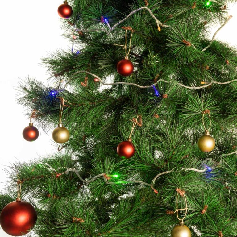 Guirnalda LED Interior 6M [HO-XMAS-008-IP20-6M-RGB
